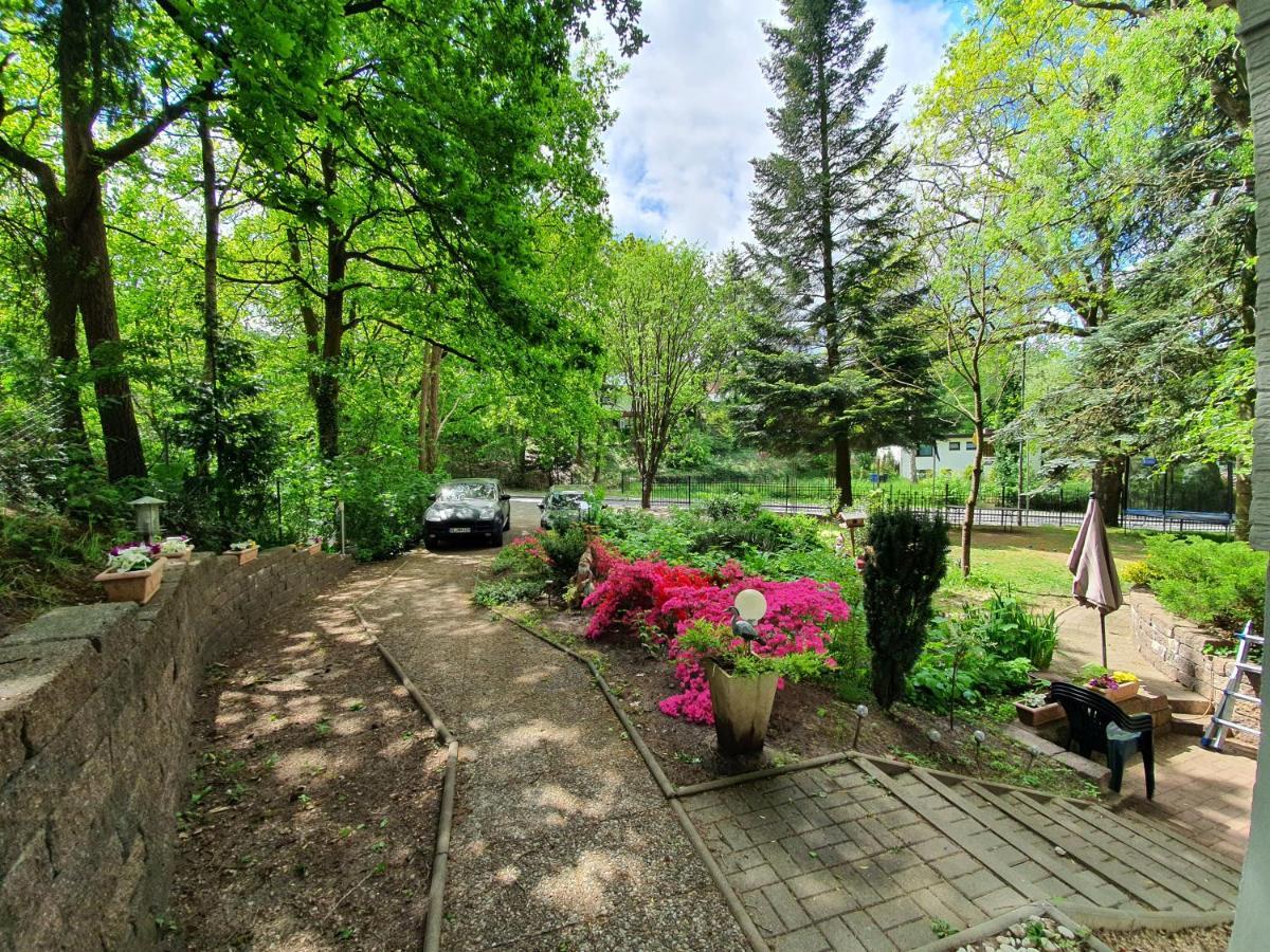 Apartment Bei Hamburg Bis 10 Personen Mit Terasse Und Gartennutzung. Buchholz in der Nordheide Exteriör bild
