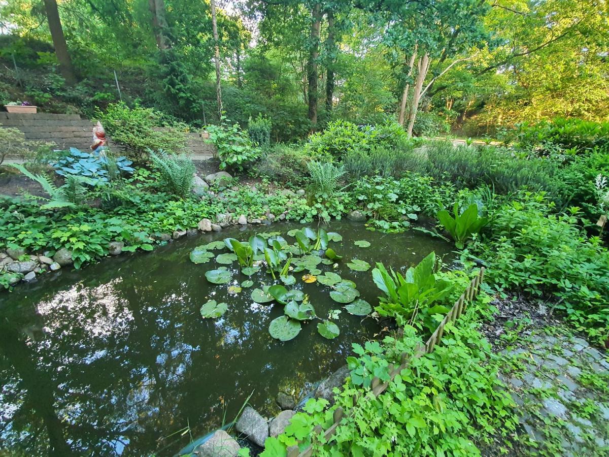 Apartment Bei Hamburg Bis 10 Personen Mit Terasse Und Gartennutzung. Buchholz in der Nordheide Exteriör bild